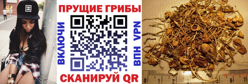 Галлюциногенные грибы прущие грибы  darknet как зайти  Зарайск  даркнет сайт 